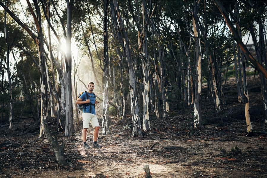 snowfill recreation area bozeman mt